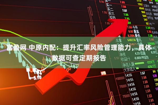 富盈网 中原内配：提升汇率风险管理能力，具体数据可查定期报告